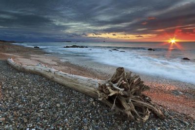 Katherine Gendreau - Sakonnet Driftwood