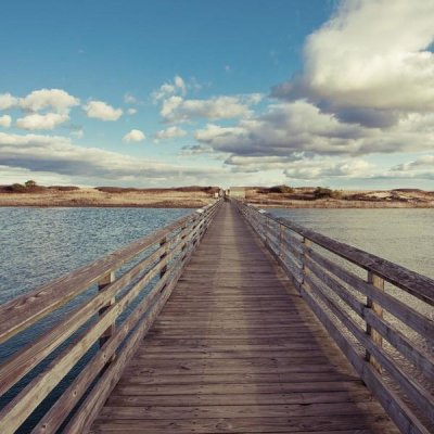 Katherine Gendreau - Bridge to the Beach