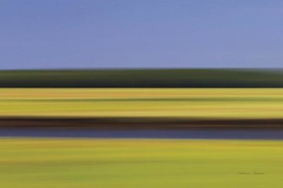 Katherine Gendreau - Midday Marsh