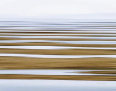 Katherine Gendreau - Sand Flats in Fog