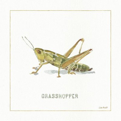 Lisa Audit - My Greenhouse Grasshopper