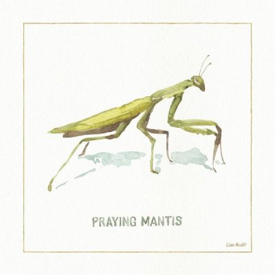 Lisa Audit - My Greenhouse Praying Mantis