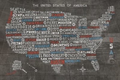 Michael Mullan - US City Map on Wood Gray
