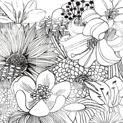 Michael Mullan - Contemporary Garden II Black and White