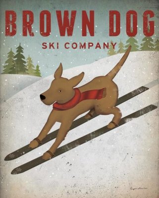 Ryan Fowler - Brown Dog Ski Co