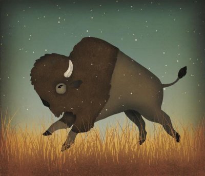 Ryan Fowler - Buffalo Bison II