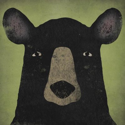 Ryan Fowler - The Black Bear