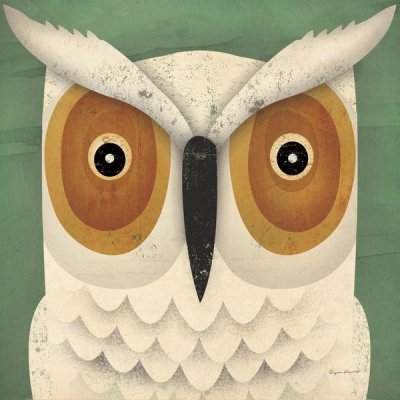 Ryan Fowler - White Owl