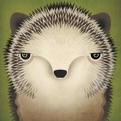 Ryan Fowler - Baby Hedgehog