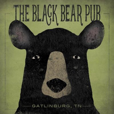 Ryan Fowler - The Black Bear Pub