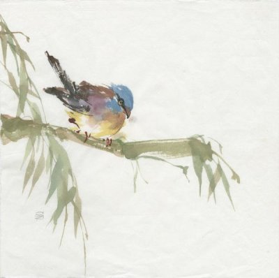 Chris Paschke - Finch