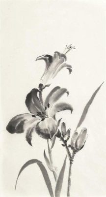 Chris Paschke - Sumi Daylily I