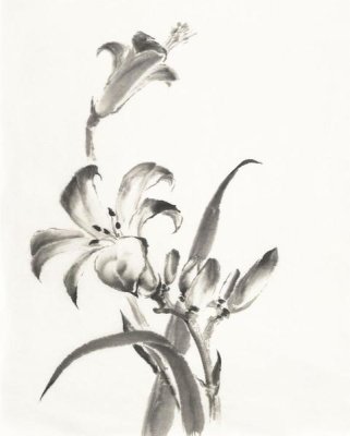 Chris Paschke - Sumi Daylily II