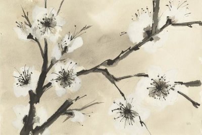 Chris Paschke - Spring Blossoms II Crop
