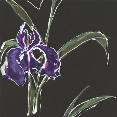 Chris Paschke - Iris on Black II