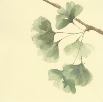 Chris Paschke - Gingko Leaves III