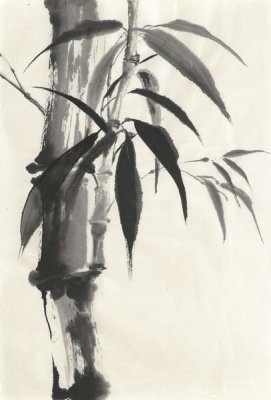 Chris Paschke - Sumi Bamboo Cream