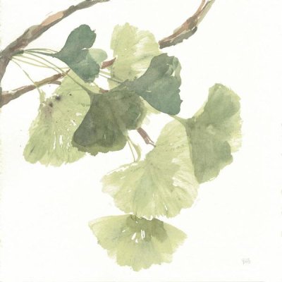 Chris Paschke - Gingko Leaves I on White