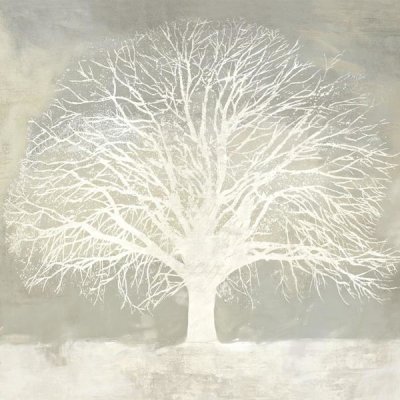 Alessio Aprile - White Oak