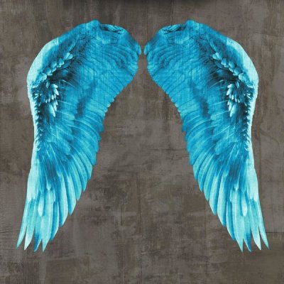 Joannoo - Angel Wings V