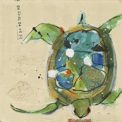 Kellie Day - Chentes Turtle Light