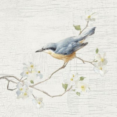 Danhui Nai - Nuthatch Vintage