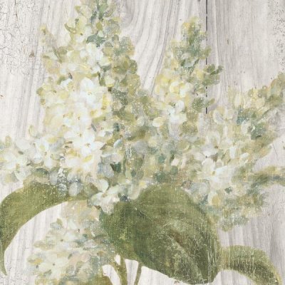 Danhui Nai - Scented Cottage Florals II Crop