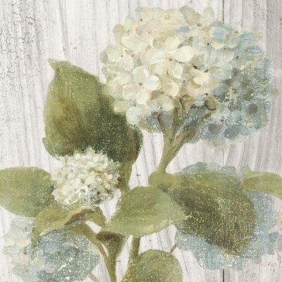 Danhui Nai - Scented Cottage Florals IV Crop