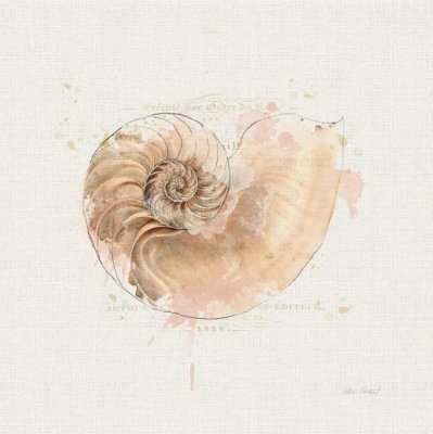 Katie Pertiet - Shell Collector II