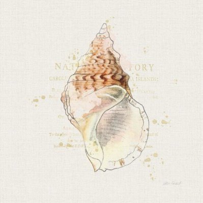 Katie Pertiet - Shell Collector III