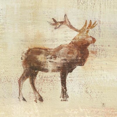 Studio Mousseau - Elk Study v2