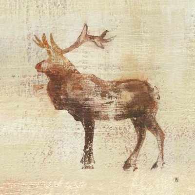 Studio Mousseau - Elk Study