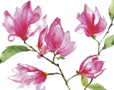 Anne Tavoletti - Bright Magnolias