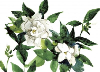 Anne Tavoletti - Bright Gardenias