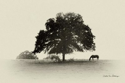 Debra Van Swearingen - Horses and Trees I