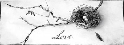 Debra Van Swearingen - Nest and Branch II Love