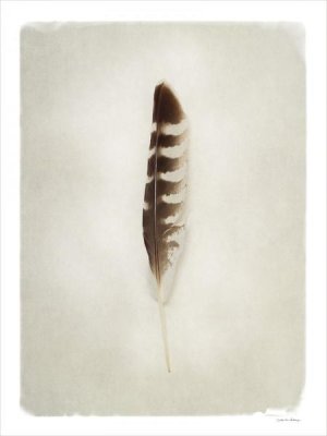 Debra Van Swearingen - Feather IV