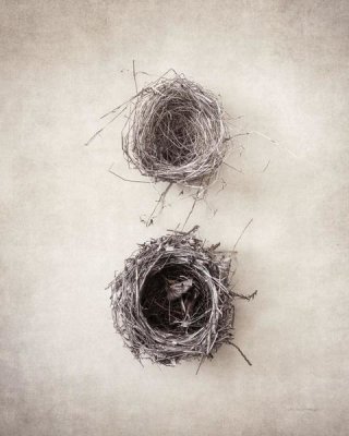 Debra Van Swearingen - Nest IV