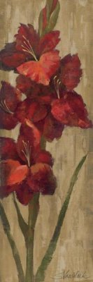 Silvia Vassileva - Vivid Red Gladiola on Gold