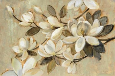 Silvia Vassileva - Magnolia Simplicity