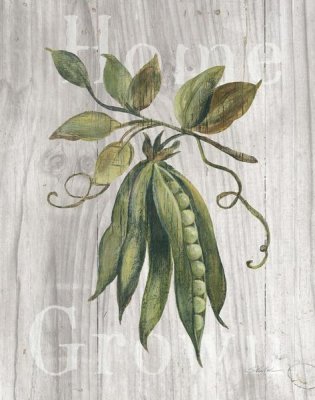 Silvia Vassileva - Market Vegetables II on Wood
