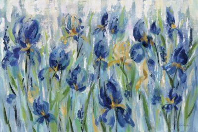 Silvia Vassileva - Iris Flower Bed