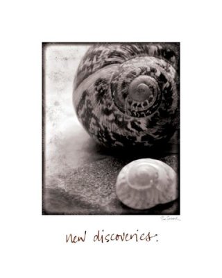 Sue Schlabach - New Discoveries