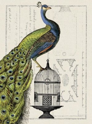 Sue Schlabach - Peacock Birdcage I