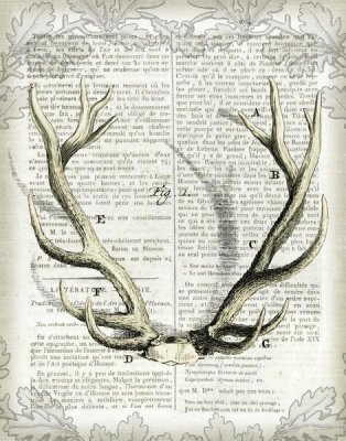 Sue Schlabach - Regal Antlers on Newsprint I