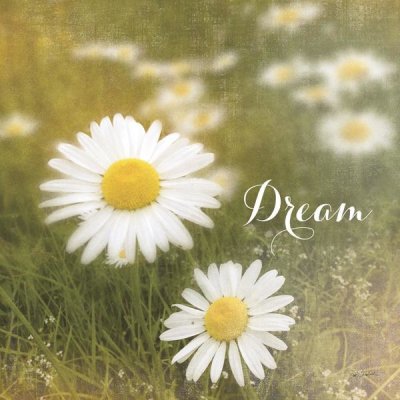 Sue Schlabach - Daisy Dreams