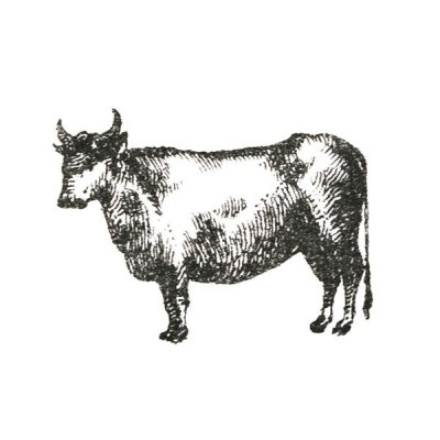 Sue Schlabach - Farm Animal Icons IV