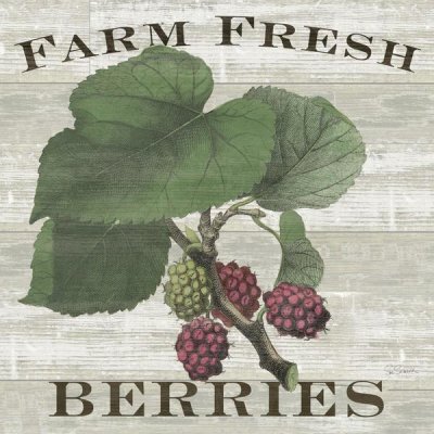 Sue Schlabach - Farm Fresh Raspberries Square
