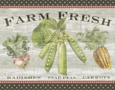 Sue Schlabach - Farm Fresh