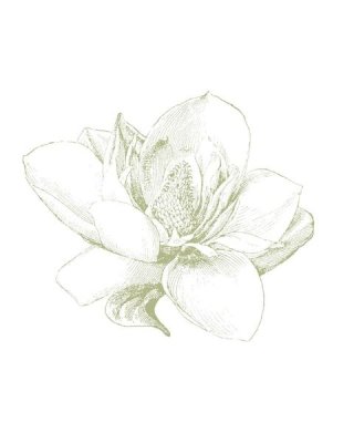Sue Schlabach - Le Jardin Printemps Pattern I Magnolia